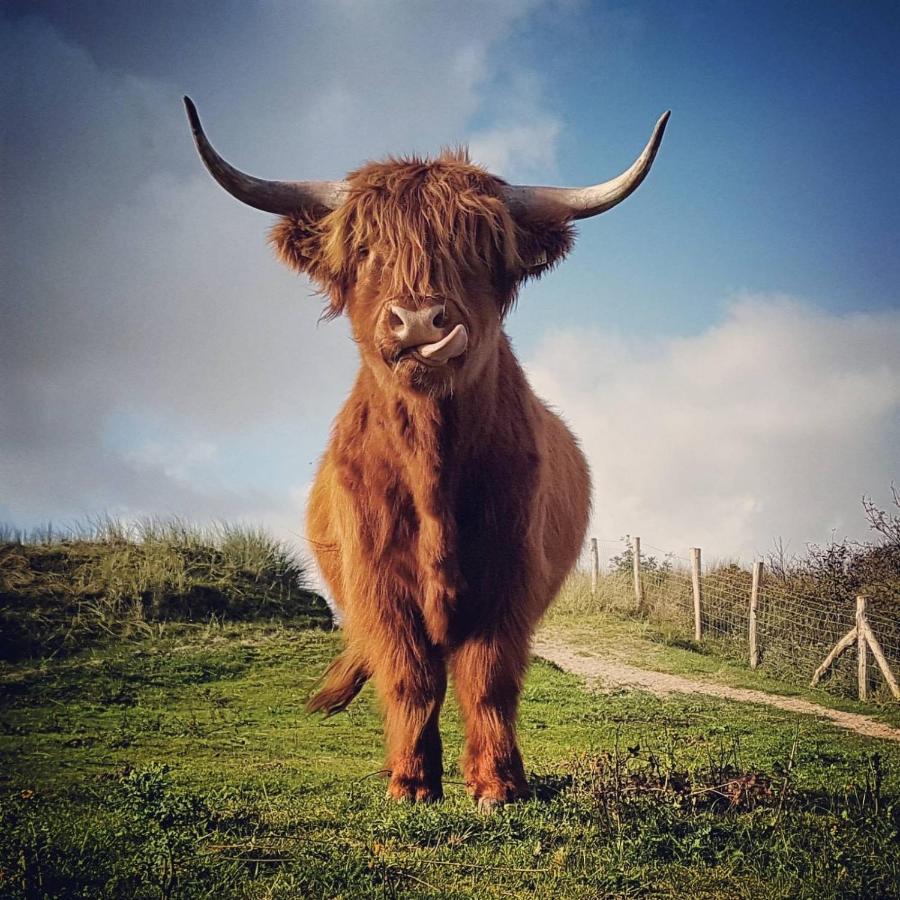 Overnachten onder de Lange Jaap Den Helder Buitenkant foto